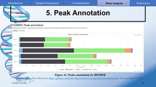 5. Peak Annotation
6/3/2023 5:43 PM 18
Figure 11: Peaks annotation by HOMER
Adapted from Zymo Research, https://github.com/Zymo-Research/service-pipeline-documentation, Accessed May 6, 2023.
Introduction Sample Preparation Data Analysis
Considerations References
 