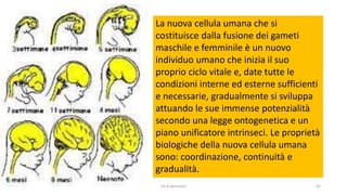 chi é persona? 42
La nuova cellula umana che si
costituisce dalla fusione dei gameti
maschile e femminile è un nuovo
individuo umano che inizia il suo
proprio ciclo vitale e, date tutte le
condizioni interne ed esterne sufficienti
e necessarie, gradualmente si sviluppa
attuando le sue immense potenzialità
secondo una legge ontogenetica e un
piano unificatore intrinseci. Le proprietà
biologiche della nuova cellula umana
sono: coordinazione, continuità e
gradualità.
 