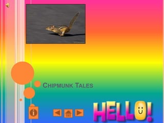 Chipmunk Tales 