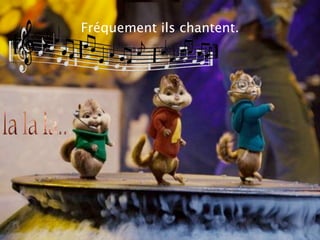 Fréquement ils chantent.
 