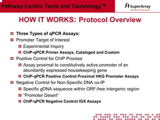 Pathway-Centric Tools and Technology™

HOW IT WORKS: Protocol Overview
Three Types of qPCR Assays:
Promoter Target of Interest
Experimental Inquiry
ChIP-qPCR Primer Assays, Cataloged and Custom

Positive Control for ChIP Process
Assay proximal to constitutively active promoter of an
abundantly expressed housekeeping gene
ChIP-qPCR Positive Control Proximal HKG Promoter Assays

Negative Control for Non-Specific DNA co-IP
Specific gDNA sequence within ORF-free intergenic region
“Promoter Desert”
ChIP-qPCR Negative Control IGX Assays

 