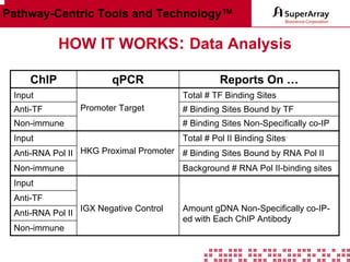 Pathway-Centric Tools and Technology™

HOW IT WORKS: Data Analysis
ChIP

qPCR

Input
Anti-TF

Reports On …
Total # TF Binding Sites

Promoter Target

# Binding Sites Bound by TF

Non-immune

# Binding Sites Non-Specifically co-IP

Input

Total # Pol II Binding Sites

Anti-RNA Pol II HKG Proximal Promoter # Binding Sites Bound by RNA Pol II
Non-immune

Background # RNA Pol II-binding sites

Input
Anti-TF
Anti-RNA Pol II
Non-immune

IGX Negative Control

Amount gDNA Non-Specifically co-IPed with Each ChIP Antibody

 