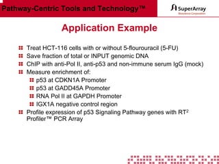 Pathway-Centric Tools and Technology™

Application Example
Treat HCT-116 cells with or without 5-flourouracil (5-FU)
Save fraction of total or INPUT genomic DNA
ChIP with anti-Pol II, anti-p53 and non-immune serum IgG (mock)
Measure enrichment of:
p53 at CDKN1A Promoter
p53 at GADD45A Promoter
RNA Pol II at GAPDH Promoter
IGX1A negative control region
Profile expression of p53 Signaling Pathway genes with RT2
Profiler™ PCR Array

 