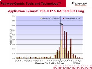 Pathway-Centric Tools and Technology™
Application Example: POL II IP & GAPD qPCR Tiling

 
