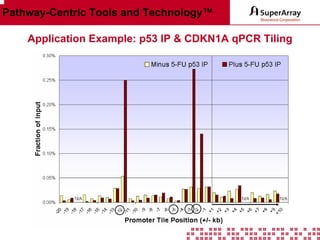 Pathway-Centric Tools and Technology™
Application Example: p53 IP & CDKN1A qPCR Tiling

 
