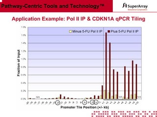 Pathway-Centric Tools and Technology™
Application Example: Pol II IP & CDKN1A qPCR Tiling

 