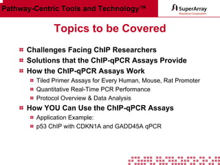 Pathway-Centric Tools and Technology™

Topics to be Covered
Challenges Facing ChIP Researchers
Solutions that the ChIP-qPCR Assays Provide
How the ChIP-qPCR Assays Work
Tiled Primer Assays for Every Human, Mouse, Rat Promoter
Quantitative Real-Time PCR Performance
Protocol Overview & Data Analysis

How YOU Can Use the ChIP-qPCR Assays
Application Example:
p53 ChIP with CDKN1A and GADD45A qPCR

 