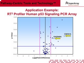Pathway-Centric Tools and Technology™

Application Example:
RT2 Profiler Human p53 Signaling PCR Array

 