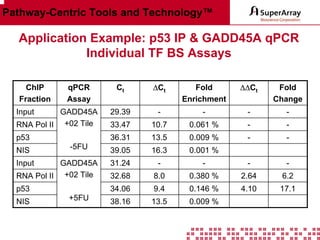 Pathway-Centric Tools and Technology™

Application Example: p53 IP & GADD45A qPCR
Individual TF BS Assays
ChIP
Fraction

qPCR
Assay

Ct

∆Ct

Fold
Enrichment

∆∆Ct

Fold
Change

GADD45A
RNA Pol II +02 Tile

29.39

-

-

-

-

33.47

10.7

0.061 %

-

-

p53

36.31

13.5

0.009 %

-

-

39.05

16.3

0.001 %

Input

NIS

-5FU

GADD45A
RNA Pol II +02 Tile

31.24

-

-

-

-

32.68

8.0

0.380 %

2.64

6.2

p53

34.06

9.4

0.146 %

4.10

17.1

38.16

13.5

0.009 %

Input

NIS

+5FU

 