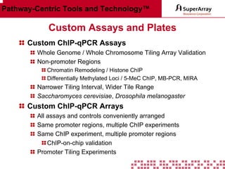 Pathway-Centric Tools and Technology™

Custom Assays and Plates
Custom ChIP-qPCR Assays
Whole Genome / Whole Chromosome Tiling Array Validation
Non-promoter Regions
Chromatin Remodeling / Histone ChIP
Differentially Methylated Loci / 5-MeC ChIP, MB-PCR, MIRA

Narrower Tiling Interval, Wider Tile Range
Saccharomyces cerevisiae, Drosophila melanogaster

Custom ChIP-qPCR Arrays
All assays and controls conveniently arranged
Same promoter regions, multiple ChIP experiments
Same ChIP experiment, multiple promoter regions
ChIP-on-chip validation
Promoter Tiling Experiments

 