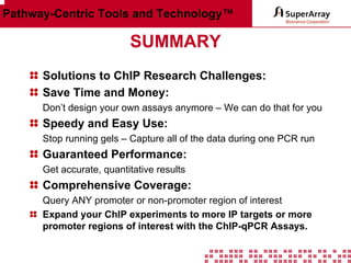 Pathway-Centric Tools and Technology™

SUMMARY
Solutions to ChIP Research Challenges:
Save Time and Money:
Don’t design your own assays anymore – We can do that for you

Speedy and Easy Use:
Stop running gels – Capture all of the data during one PCR run

Guaranteed Performance:
Get accurate, quantitative results

Comprehensive Coverage:
Query ANY promoter or non-promoter region of interest
Expand your ChIP experiments to more IP targets or more
promoter regions of interest with the ChIP-qPCR Assays.

 