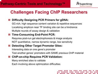 Pathway-Centric Tools and Technology™

Challenges Facing ChIP Researchers
Difficulty Designing PCR Primers for gDNA:
GC-rich, high sequence content variation & repetitive sequences
Localizing amplicon near TF binding site can be a hindrance
Multiple rounds of assay design & validation

Time-Consuming End-Point PCR:
Requires post-run gel electrophoresis & image analysis
NOT quantitative, narrow dynamic range, low sensitivity

Detecting Other Target Promoter Sites:
Interesting data on one gene’s promoter
Test another genes’ promoters with SAME precious ChIP material

ChIP-on-chip Requires PCR Validation:
Many enriched sites to validate
Each involving above optimization difficulties

 