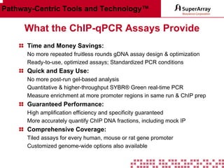Pathway-Centric Tools and Technology™

What the ChIP-qPCR Assays Provide
Time and Money Savings:
No more repeated fruitless rounds gDNA assay design & optimization
Ready-to-use, optimized assays; Standardized PCR conditions

Quick and Easy Use:
No more post-run gel-based analysis
Quantitative & higher-throughput SYBR® Green real-time PCR
Measure enrichment at more promoter regions in same run & ChIP prep

Guaranteed Performance:
High amplification efficiency and specificity guaranteed
More accurately quantify ChIP DNA fractions, including mock IP

Comprehensive Coverage:
Tiled assays for every human, mouse or rat gene promoter
Customized genome-wide options also available

 