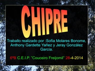 Traballo realizado por :Sofía Molares Bonome,
Anthony Gardette Yañez y Jeray González
García.
6ºB C.E.I.P. ”Couceiro Freijomil” 28-4-2014
 