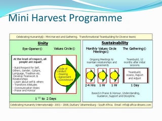 Mini Harvest Programme
 