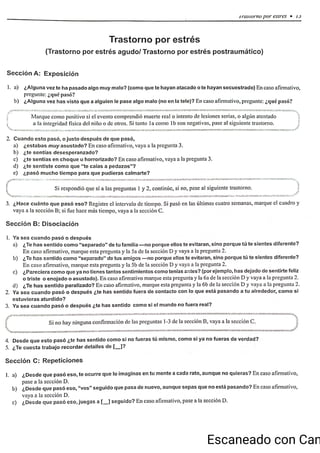 ChIPS  Entrevista.pdf