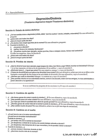 ChIPS  Entrevista.pdf