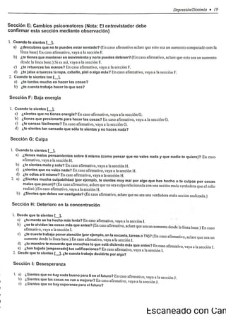 ChIPS  Entrevista.pdf