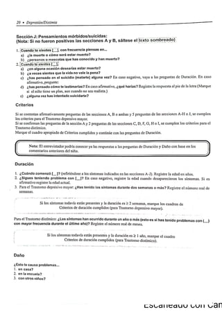 ChIPS  Entrevista.pdf