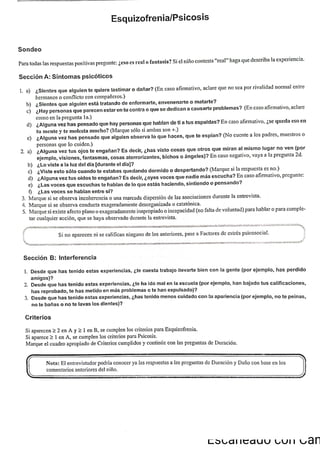 ChIPS  Entrevista.pdf