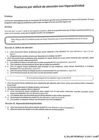 ChIPS  Entrevista.pdf