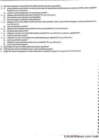 ChIPS  Entrevista.pdf