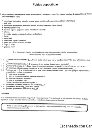 ChIPS  Entrevista.pdf