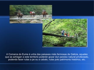 A Comarca do Eume é unha das paisaxes máis fermosas de Galicia, aqueles
que se achegan a este territorio poderán gozar dun paraíso natural privilexiado,
podendo facer rutas a pe ou a cabalo, rutas polo patrimonio histórico, etc.
 