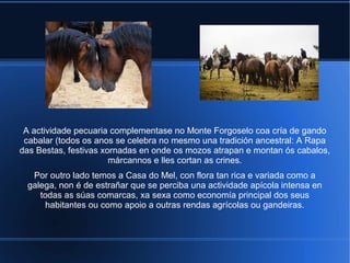 A actividade pecuaria complementase no Monte Forgoselo coa cría de gando
cabalar (todos os anos se celebra no mesmo una tradición ancestral: A Rapa
das Bestas, festivas xornadas en onde os mozos atrapan e montan ós cabalos,
márcannos e lles cortan as crines.
Por outro lado temos a Casa do Mel, con flora tan rica e variada como a
galega, non é de estrañar que se perciba una actividade apícola intensa en
todas as súas comarcas, xa sexa como economía principal dos seus
habitantes ou como apoio a outras rendas agrícolas ou gandeiras.
 