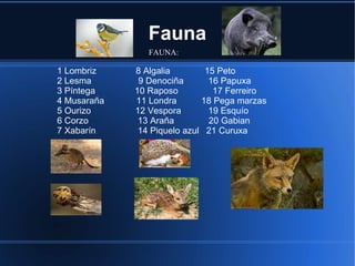 Fauna
FAUNA:
1 Lombriz 8 Algalia 15 Peto
2 Lesma 9 Denociña 16 Papuxa
3 Píntega 10 Raposo 17 Ferreiro
4 Musaraña 11 Londra 18 Pega marzas
5 Ourizo 12 Vespora 19 Esquío
6 Corzo 13 Araña 20 Gabian
7 Xabarín 14 Piquelo azul 21 Curuxa
 