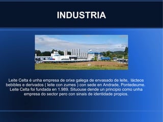 INDUSTRIA
Leite Celta é unha empresa de orixe galega de envasado de leite, lácteos
bebibles e derivados ( leite con zumes ) con sede en Andrade, Pontedeume.
Leite Celta foi fundada en 1.989. Situouse dende un principio como unha
empresa do sector pero con sinais de identidade propios.
 