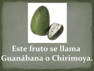 Este fruto se llama  Guanábana o Chirimoya. 