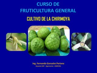 CURSO DE
FRUTICULTURA GENERAL
CULTIVO DE LA CHIRIMOYA
Ing. Fernando Gonzales Pariona
Docente EAP – Agronomía - UNHEVAL
 