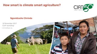 Chirinda, Ngonidzashe - Climate Food and Farming CLIFF Network annual workshop November 2017