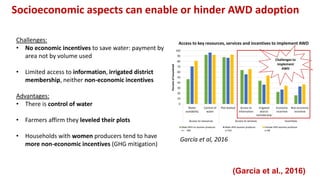 Chirinda, Ngonidzashe - Climate Food and Farming CLIFF Network annual workshop November 2017