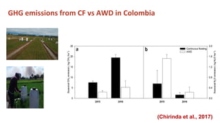 Chirinda, Ngonidzashe - Climate Food and Farming CLIFF Network annual workshop November 2017