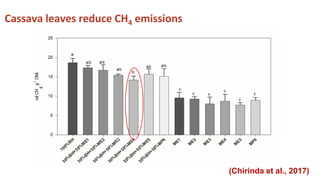 Chirinda, Ngonidzashe - Climate Food and Farming CLIFF Network annual workshop November 2017