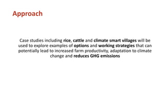 Chirinda, Ngonidzashe - Climate Food and Farming CLIFF Network annual workshop November 2017