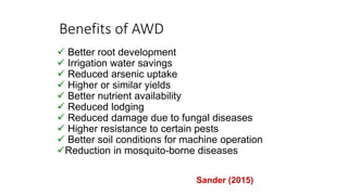 Chirinda, Ngonidzashe - Climate Food and Farming CLIFF Network annual workshop November 2017