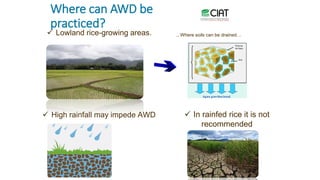 Chirinda, Ngonidzashe - Climate Food and Farming CLIFF Network annual workshop November 2017