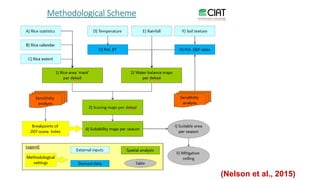 Chirinda, Ngonidzashe - Climate Food and Farming CLIFF Network annual workshop November 2017