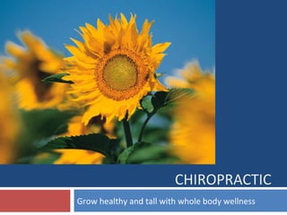 CHIROPRACTIC
Grow healthy and tall with whole body wellness

 