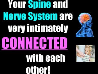 Your  Spine  and  Nerve System  are very intimately  CONNECTED   with each other! 