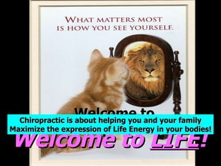 Welcome to Chiropractic… Welcome to  LIFE ! Chiropractic is about helping you and your family Maximize the expression of Life Energy in your bodies! 