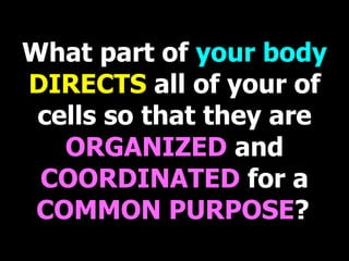 What part of  your body   DIRECTS  all of your of cells so that they are   ORGANIZED   and   COORDINATED   for a   COMMON PURPOSE ?   