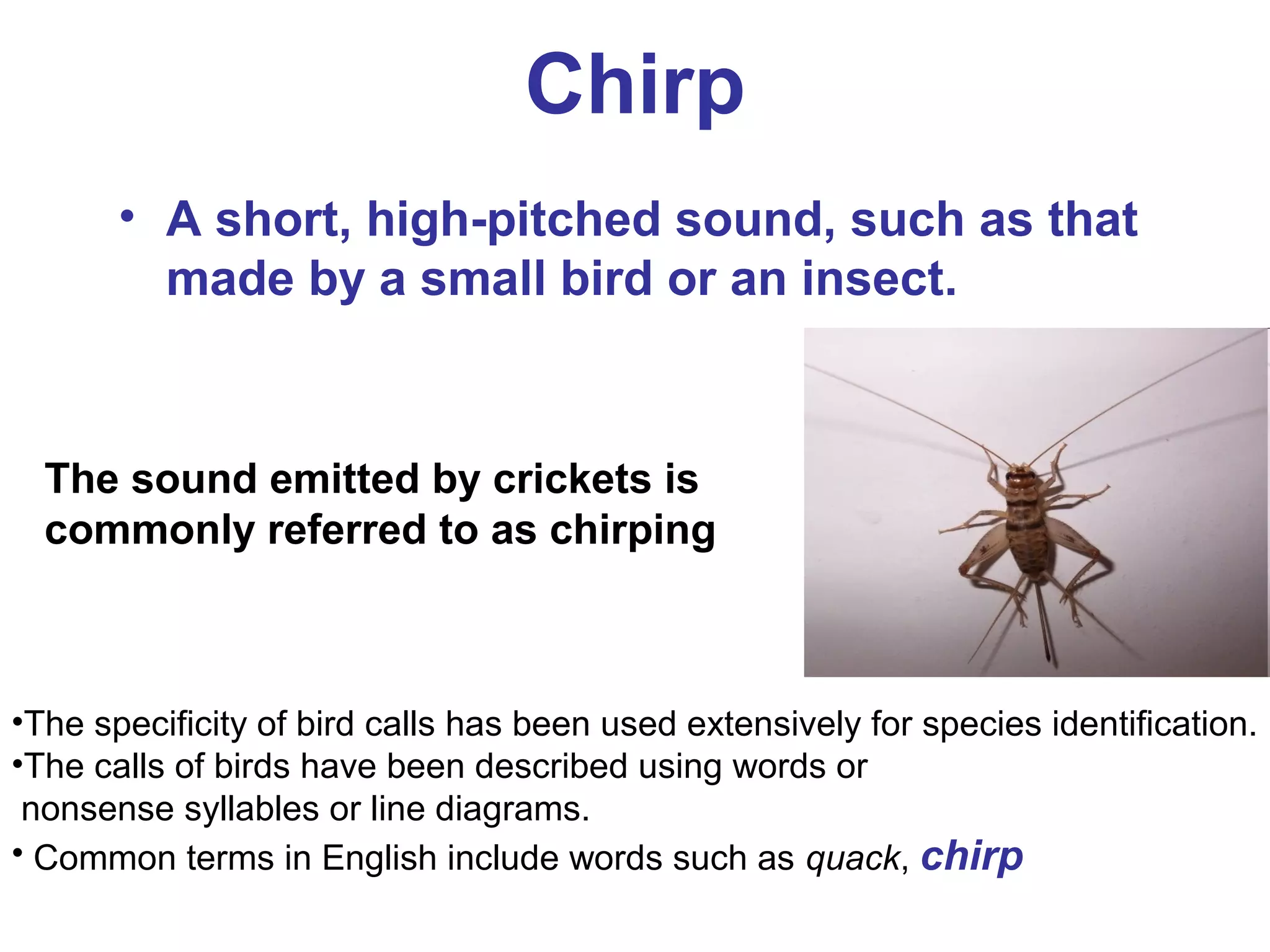 Chirp
• A short, high-pitched sound, such as that
made by a small bird or an insect.
•The specificity of bird calls has been used extensively for species identification.
•The calls of birds have been described using words or
nonsense syllables or line diagrams.
• Common terms in English include words such as quack, chirp
The sound emitted by crickets is
commonly referred to as chirping
 