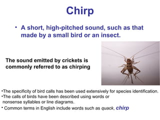 Chirp
• A short, high-pitched sound, such as that
made by a small bird or an insect.
•The specificity of bird calls has been used extensively for species identification.
•The calls of birds have been described using words or
nonsense syllables or line diagrams.
• Common terms in English include words such as quack, chirp
The sound emitted by crickets is
commonly referred to as chirping
 