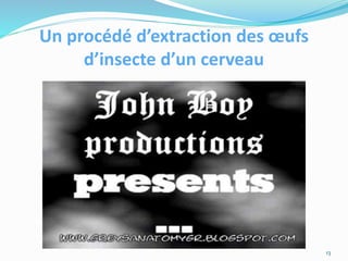 Un procédé d’extraction des œufs
d’insecte d’un cerveau
13
 