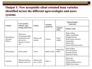 Supporting communities to increase bean productivity through enhanced accessibility to seed of preferred bean varieties and other technologies in Malawi, Mozambique and Tanzania