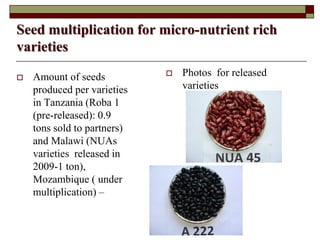 Supporting communities to increase bean productivity through enhanced accessibility to seed of preferred bean varieties and other technologies in Malawi, Mozambique and Tanzania